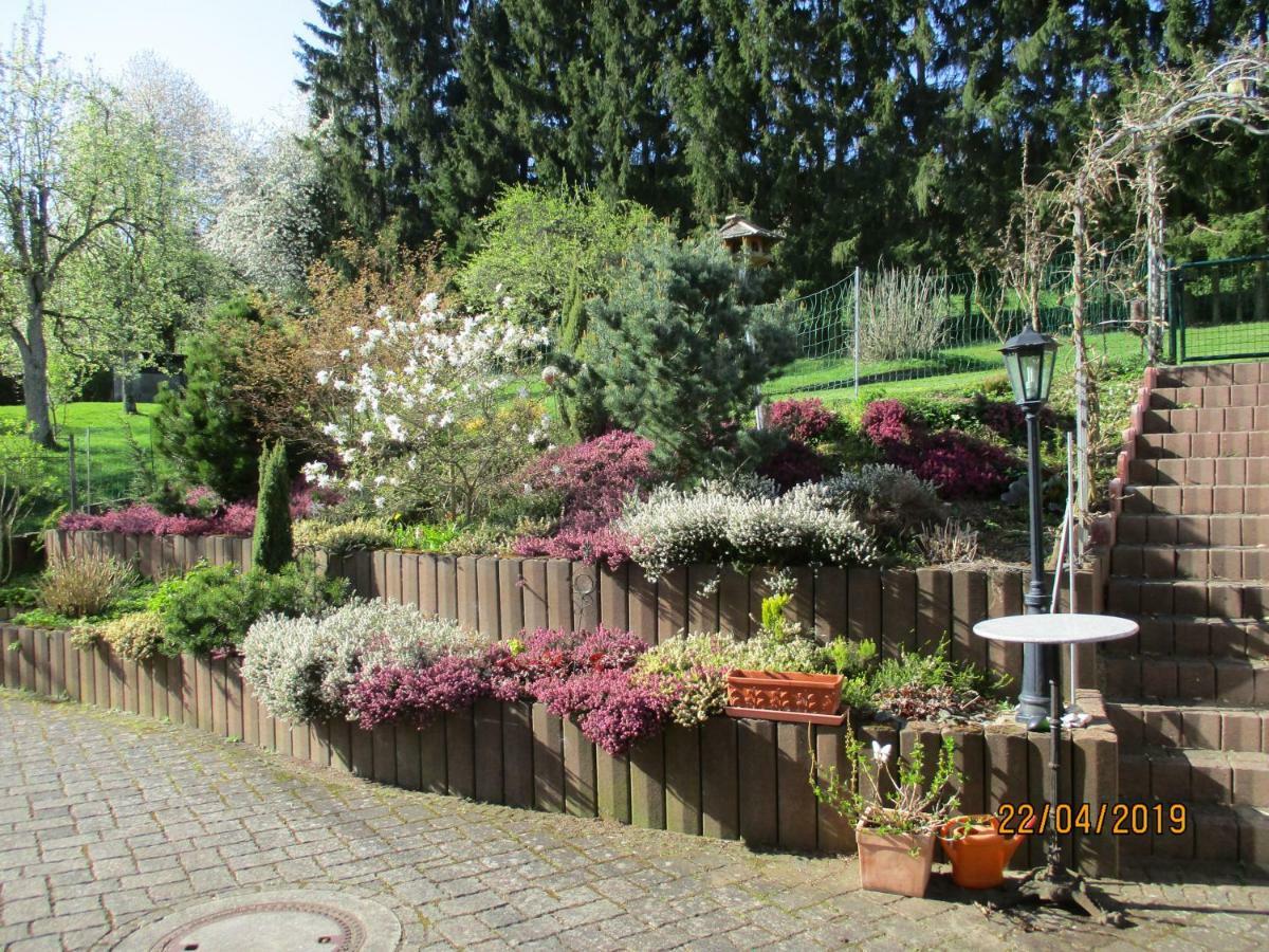 Pension Hilberath Kottenborn Buitenkant foto